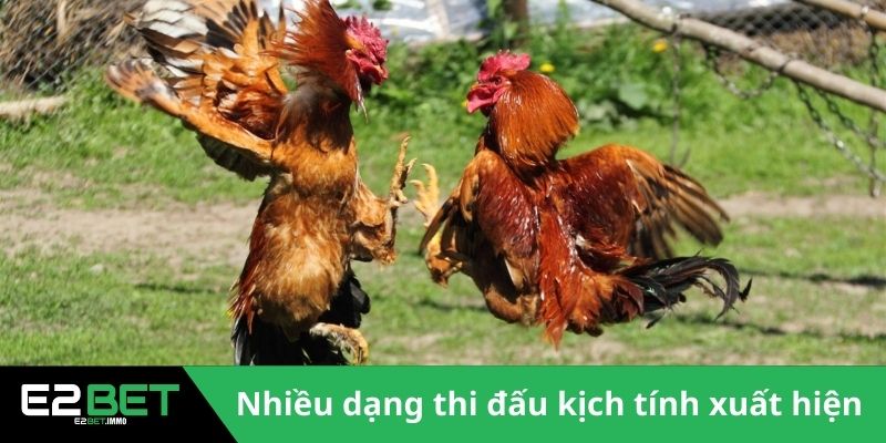 Nhiều dạng thi đấu kịch tính xuất hiện 